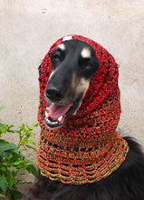 Load image into Gallery viewer, Snood 001